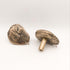 Handmade Solid Brass Knob Rustic Cabinet Drawer Pulls